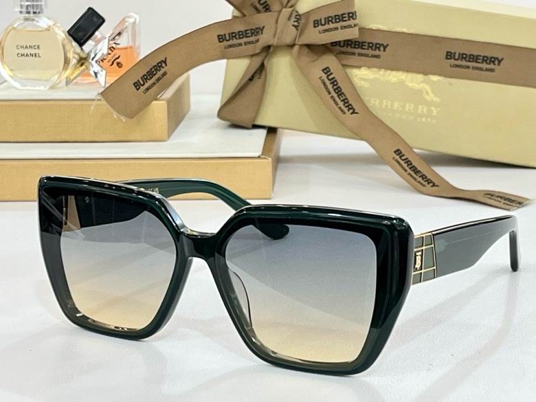 Burberry Glasses SMr (142)